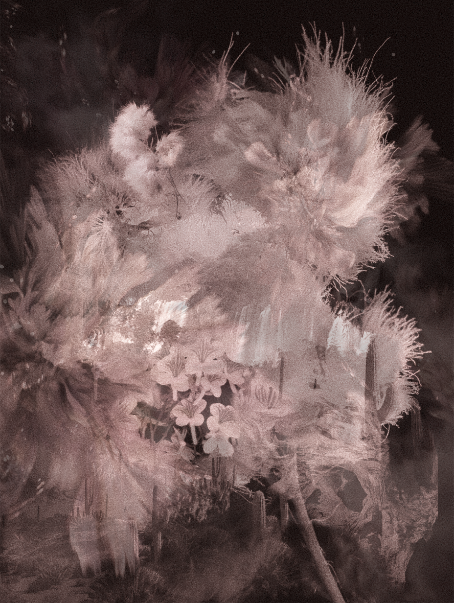 anna sofia christies AI 3.png